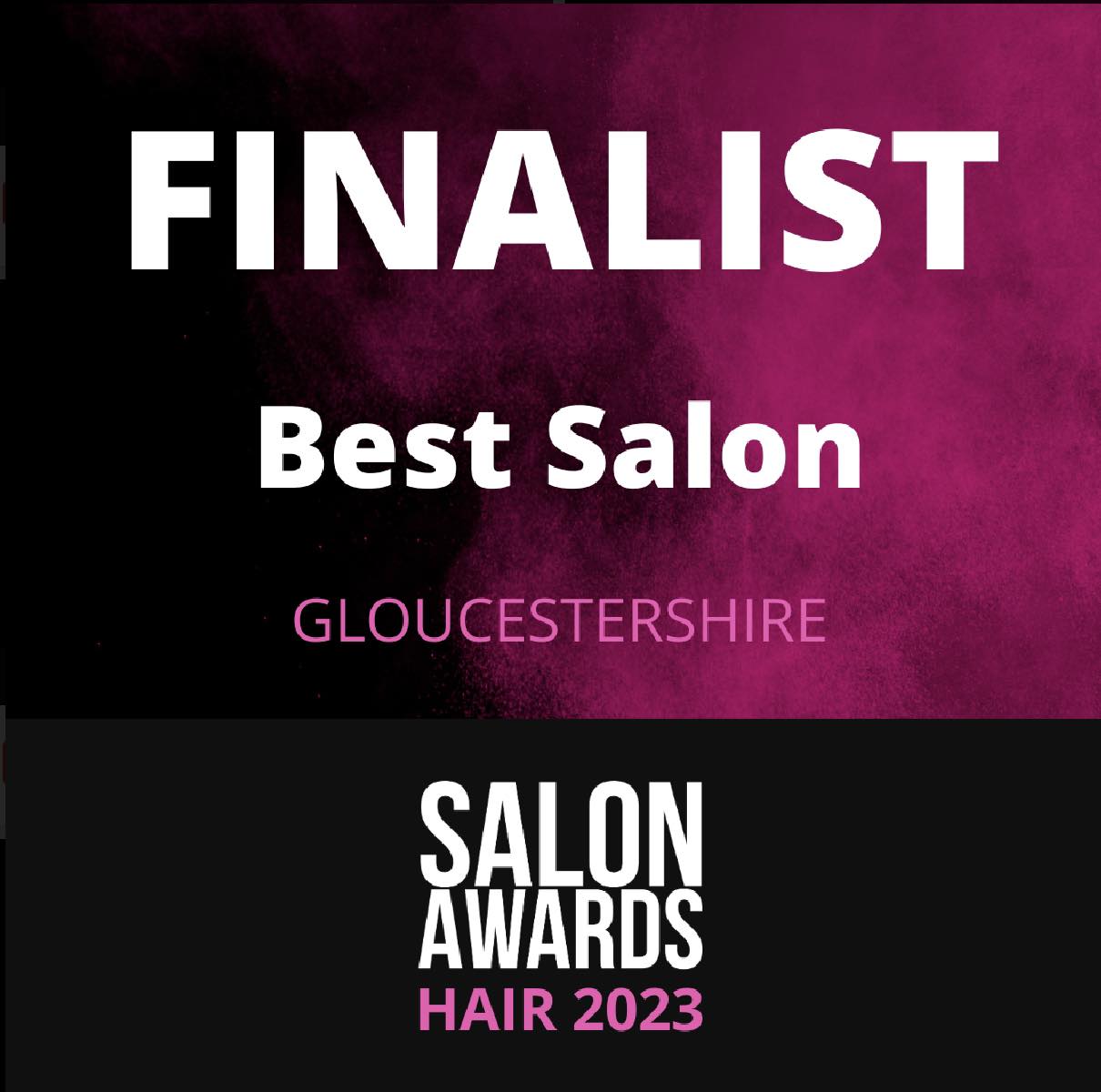 Salon Awards Finalist Of 2023