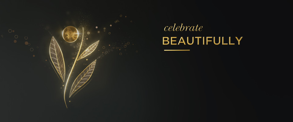 environ christmas gift packs at fringe benefits salon gloucester