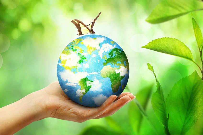 Plastic Free Awareness Month at fringe benefits and la bella beauty salon gloucester