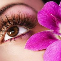 eyelashes